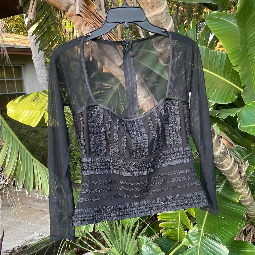 Tadashi sheer ruffled formal top with
